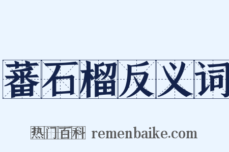 蕃石榴反义词是什么意思的图片